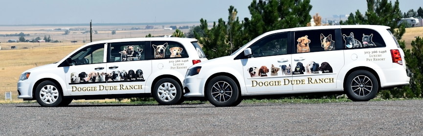 Stagecoach Pick up and Delivery - Dog and Cat Boarding Aurora